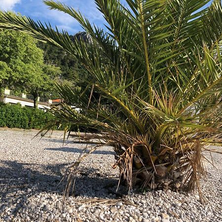 Villa Sabine Apartment Losinj Medveja Exterior photo